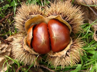 f1e051d8.jpg